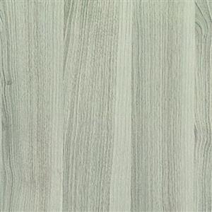 Acacia Argintiu - PORTASYNCHRO 3D